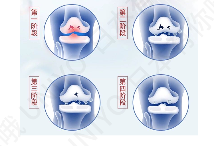 【日本直邮】日本 ORIHIRO 立喜乐 高纯度氨基葡萄糖软骨素 900粒